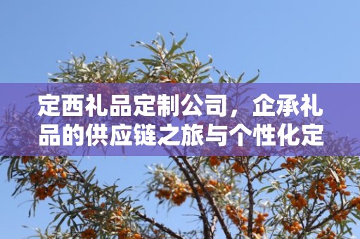 定西礼品定制公司，企承礼品的供应链之旅与个性化定制的魅力